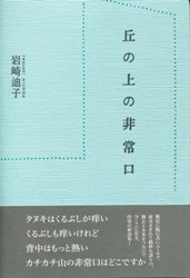 岩崎迪子『丘の上の非常口』