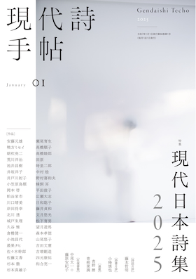 思潮社 現代詩手帖 